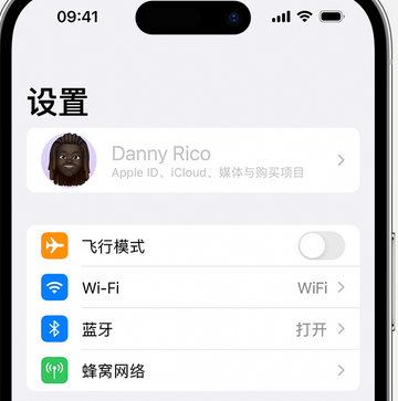 铁西appleID维修服务iPhone设置中Apple ID显示为灰色无法使用 