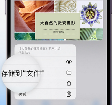 铁西apple维修中心分享iPhone文件应用中存储和找到下载文件