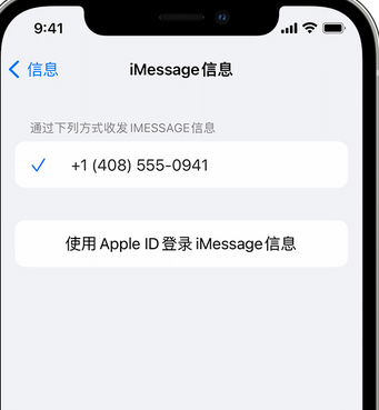 铁西apple维修iPhone上无法正常发送iMessage信息 