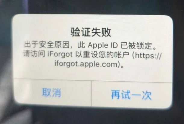 铁西iPhone维修分享iPhone上正常登录或使用AppleID怎么办 