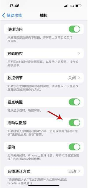 铁西苹果手机维修分享iPhone手机如何设置摇一摇删除文字 